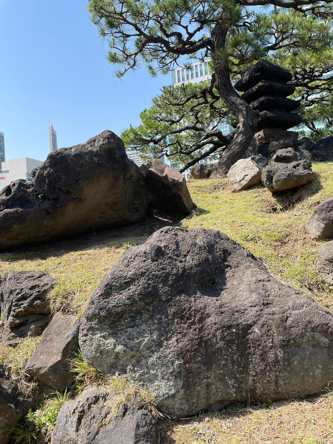 LINE_ALBUM_庭園見学_230524-04.jpg